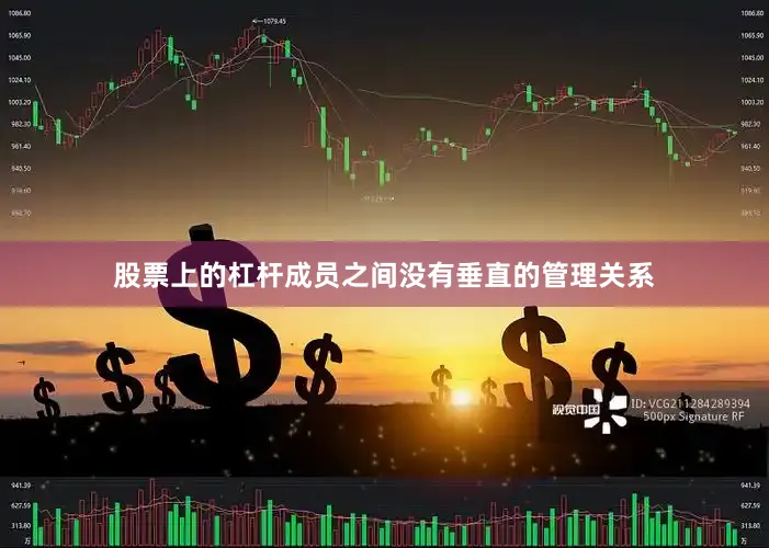 股票上的杠杆成员之间没有垂直的管理关系