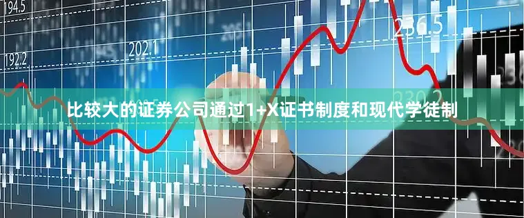 比较大的证券公司通过1+X证书制度和现代学徒制
