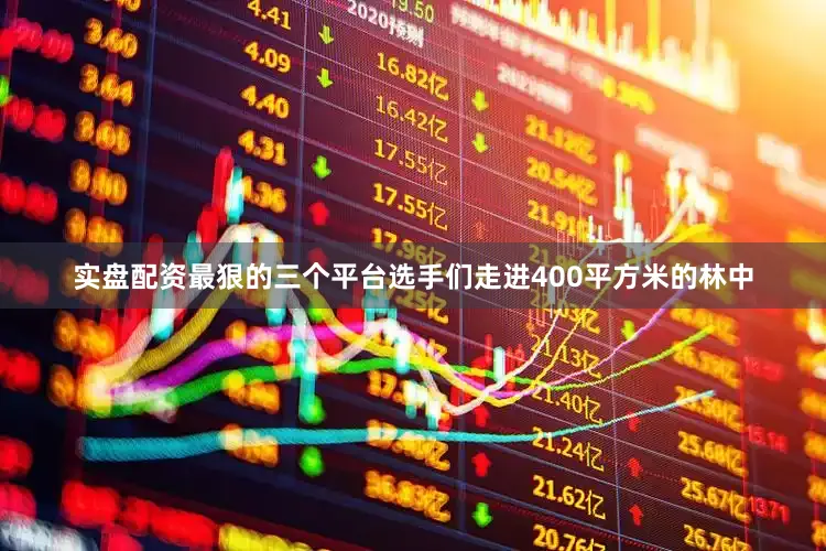 实盘配资最狠的三个平台选手们走进400平方米的林中