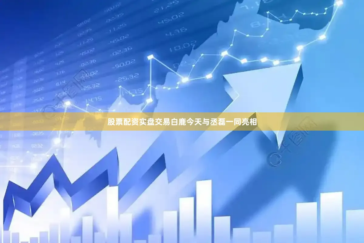股票配资实盘交易白鹿今天与丞磊一同亮相