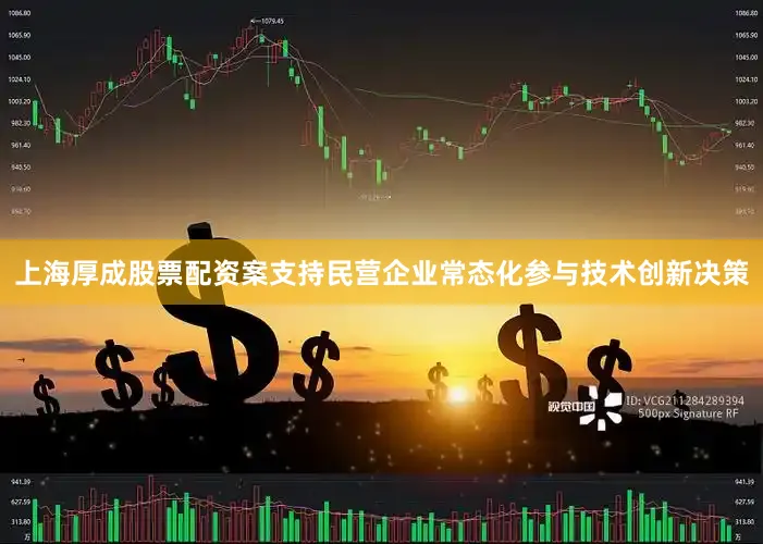 上海厚成股票配资案支持民营企业常态化参与技术创新决策