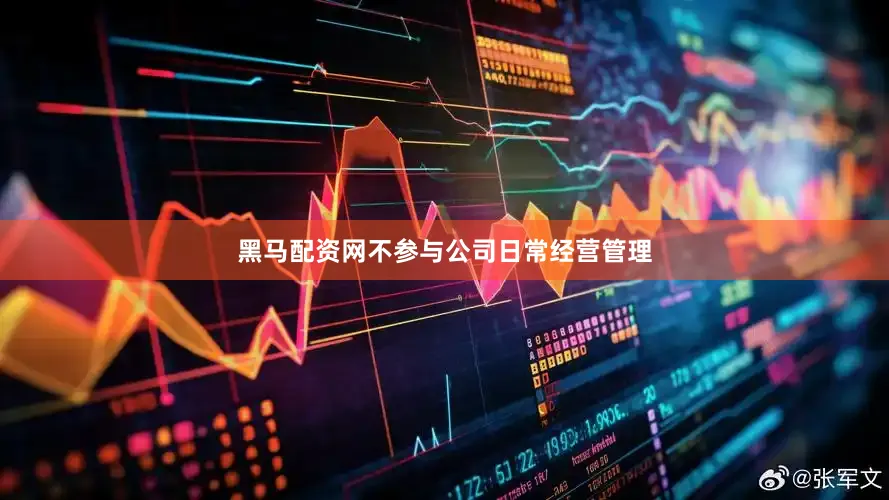 黑马配资网不参与公司日常经营管理